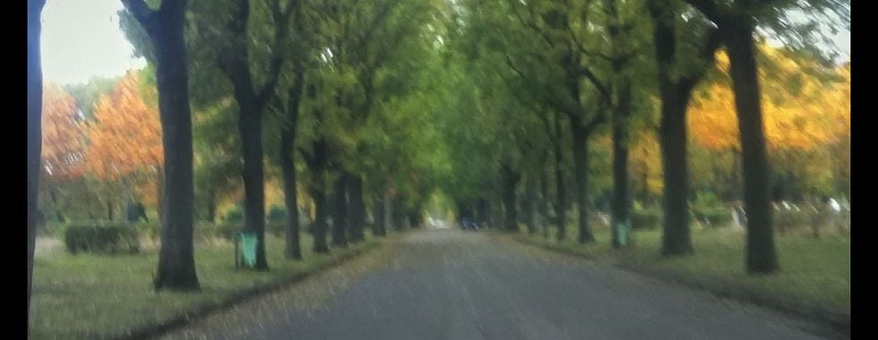 Photo du film Le Sentier des absents