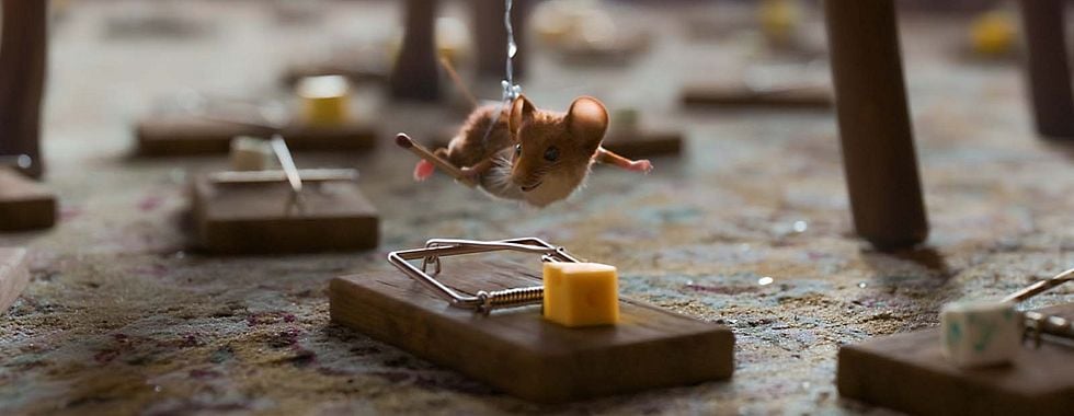 Photo du film Panique à Noël 