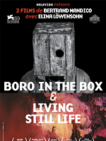 poster de Boro in the Box et Living still Life