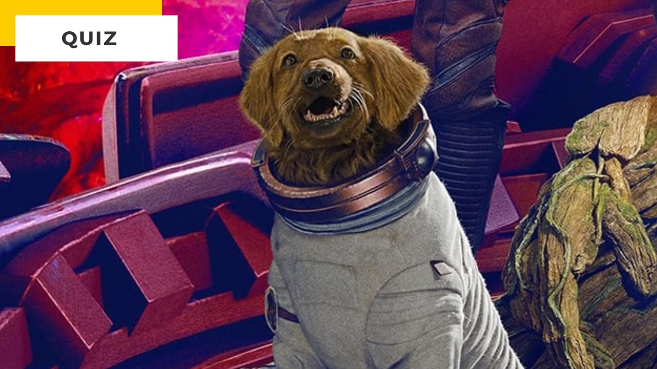 Movie Quiz: These 7 Dogs Can’t Be Recognized!