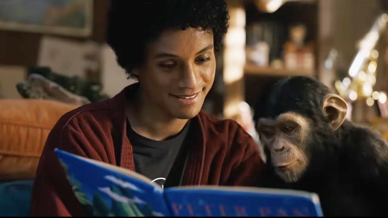 Michael Jackson et Bubbles : Que devient le chimpanzé emblématique du King de la pop ? — People & Médias