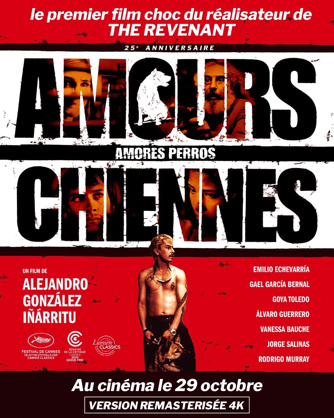 Amours chiennes streaming vf gratuit