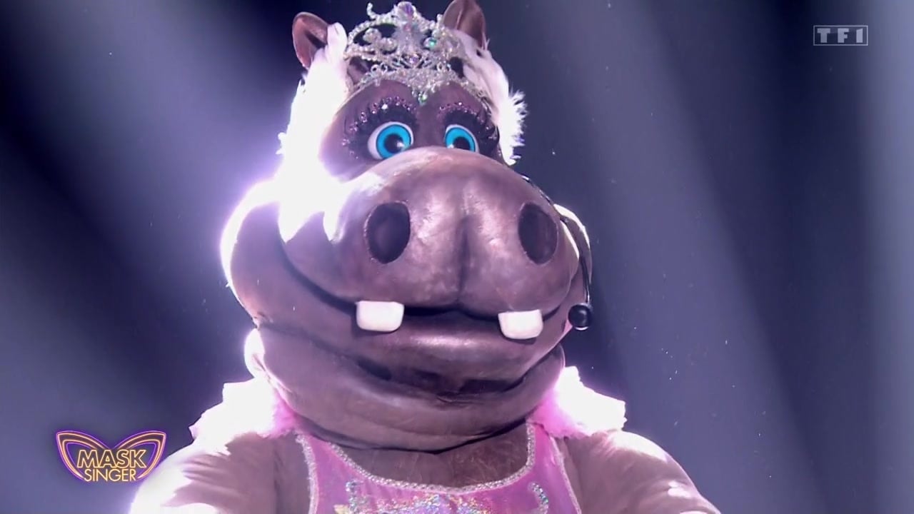 Mask Singer 2024 qui se cache derrière l'adorable Hippopotame ? Notre