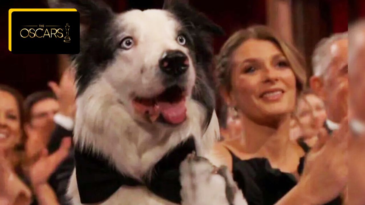 Did Messi the dog really clap at the Oscars?  This hilarious photo is behind the scenes and making waves on the web!