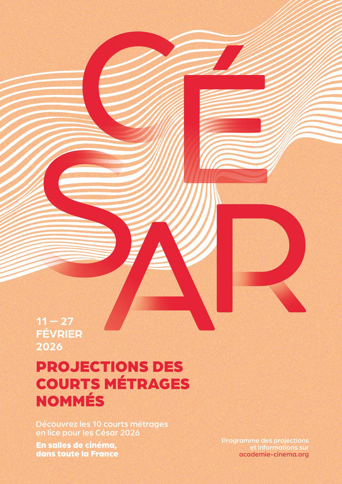 Les Courts Métrages Nommés aux César 2026 – Programme 2 streaming fr