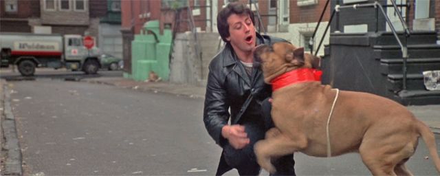 Sly Stallone et Butkus dans 