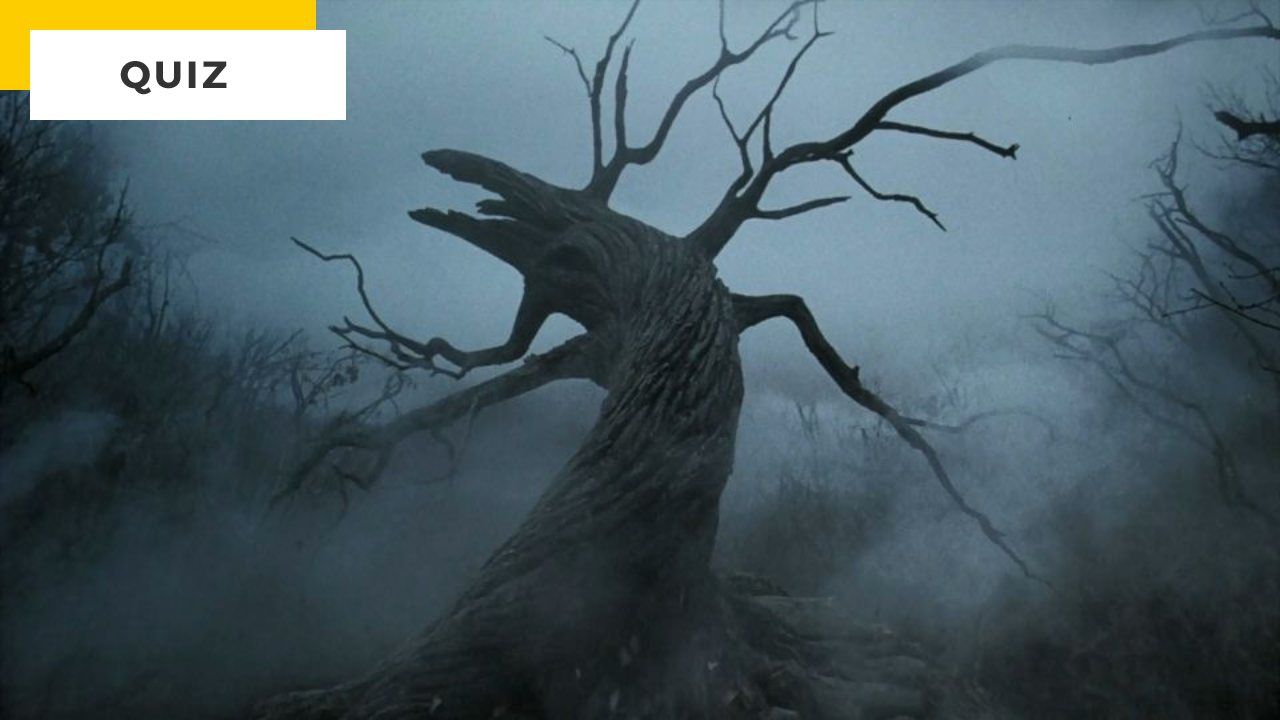 Movie Quiz: In which movies do we see these trees?