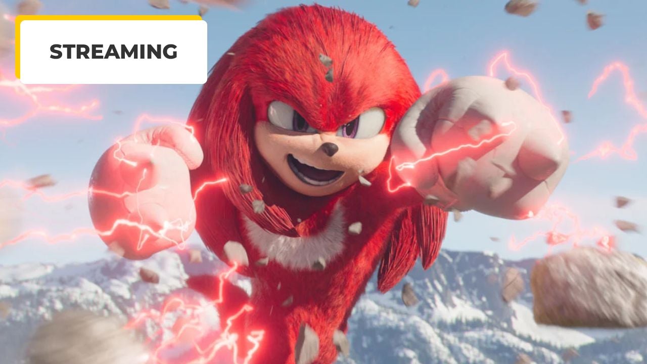 En attendant Sonic 3, voilà une surprise pour les fans du hérisson rouge,  Knuckles ! - News Séries - AlloCiné