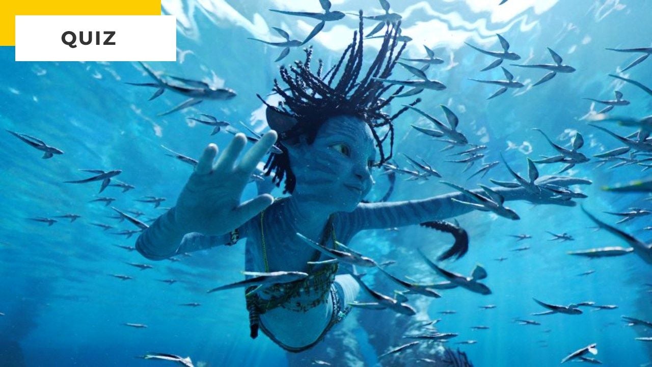 Avatar Quiz: Did you love Waterway?  Prove it with Perfect!