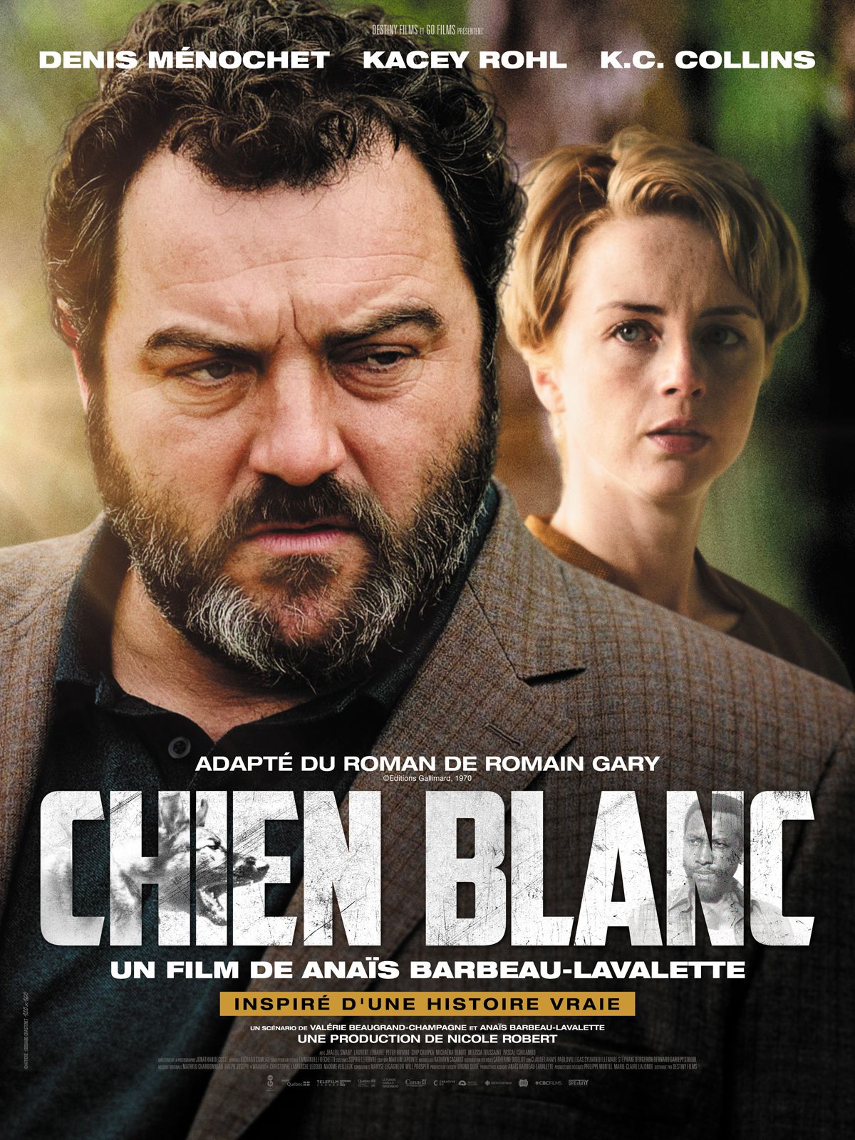 Chien blanc streaming gratuit