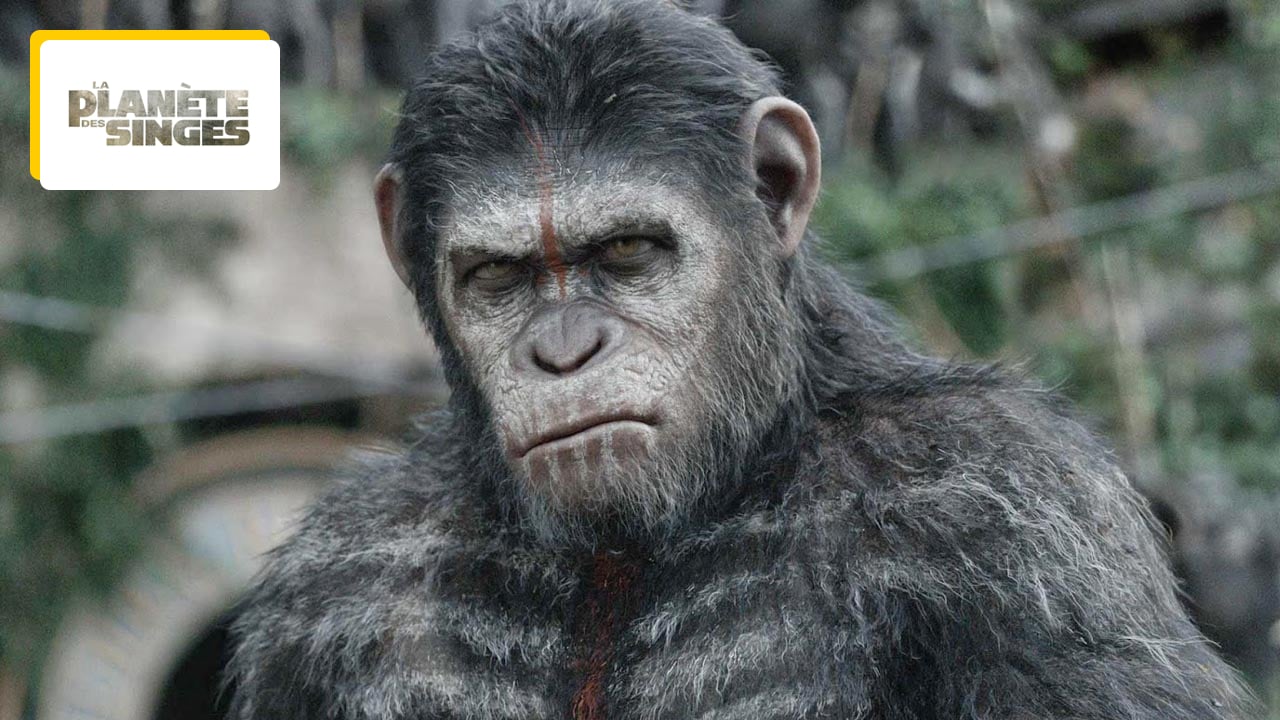 La Planète des singes 2024 : Andy Serkis (César) est-il impliqué dans Le Nouveau Royaume ?