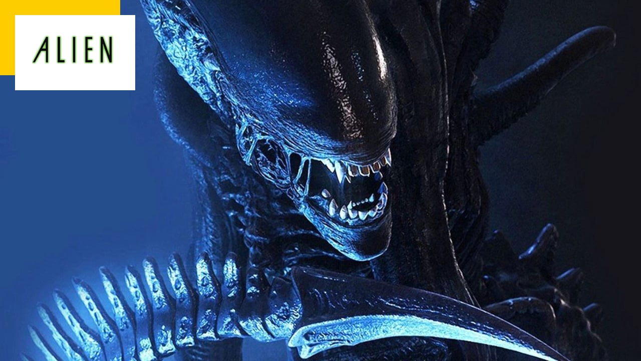 Alien 2024 Release, Info, Casting... Everything You Need To Know About