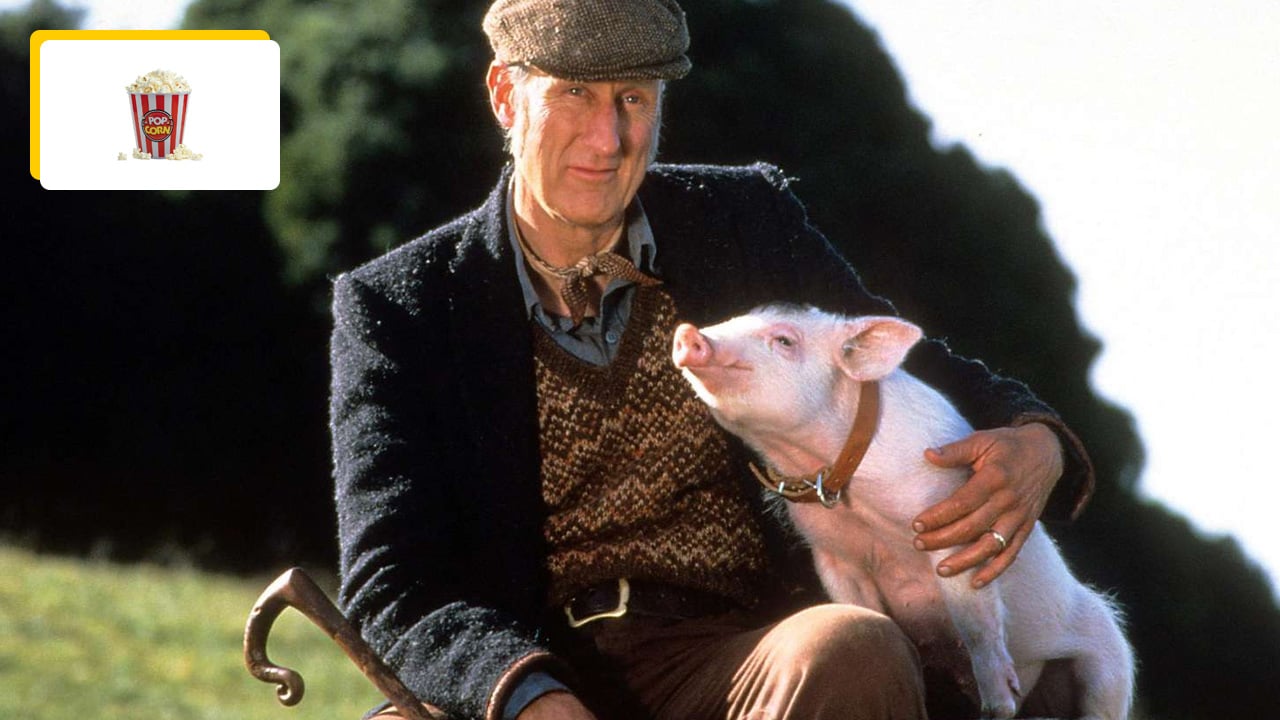 Un film peut changer une vie : cet acteur est devenu vegan après avoir tourné dans Babe, le cochon devenu berger !