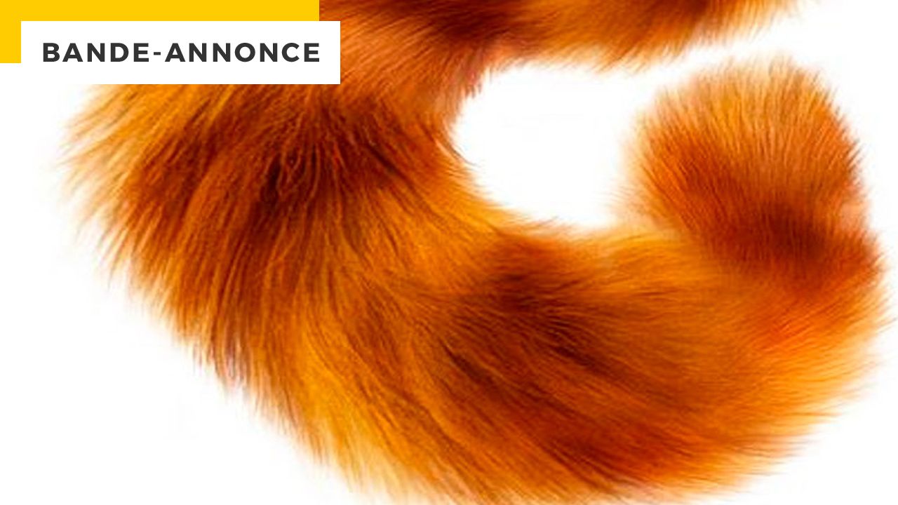 346 million dollars: after 19 years, this irresistible cat has the right to make a new movie, the first images of which are here!
