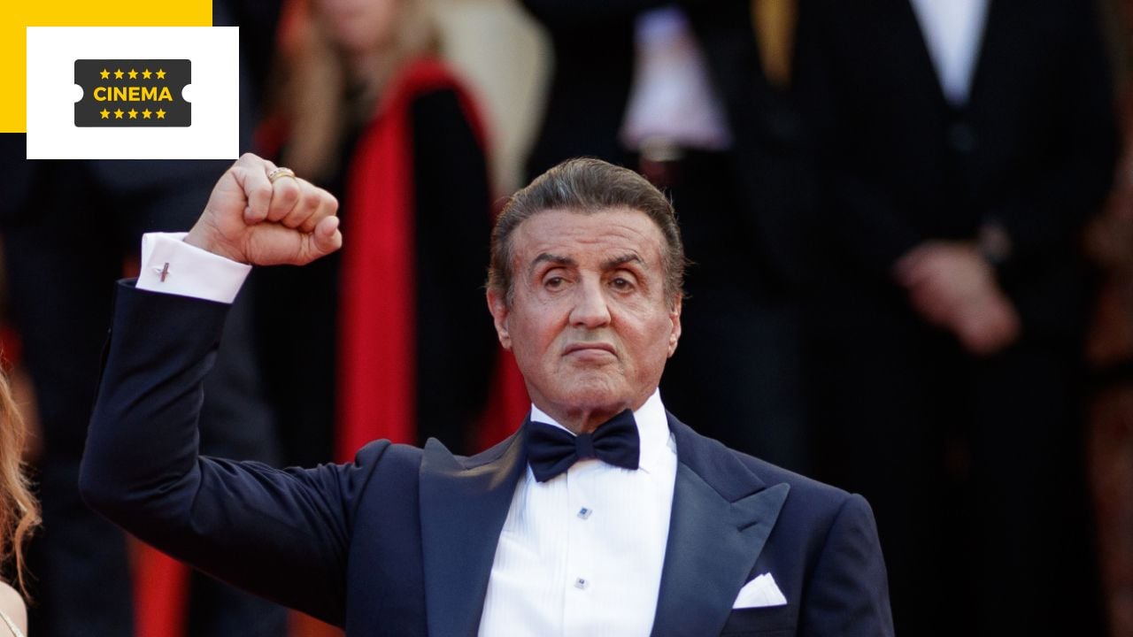 It’s one of Stallone’s best roles: Here are our top 5 actresses in the movie he’s been waiting 30 years for.