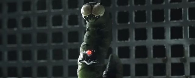 Mister Mind dans le premier 