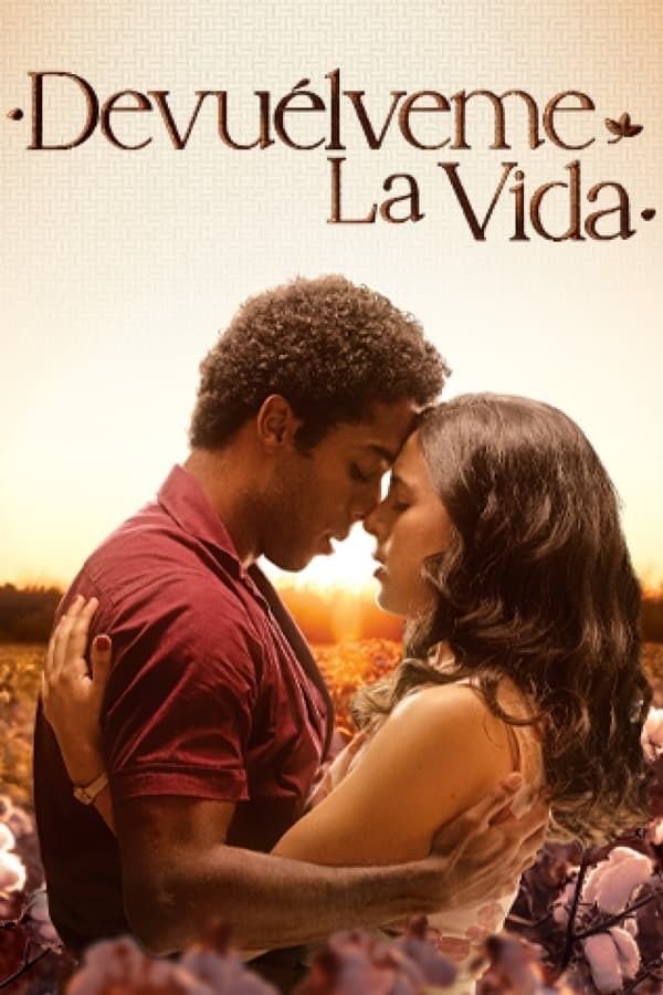Love Of My Life - Série TV 2024 - AlloCiné