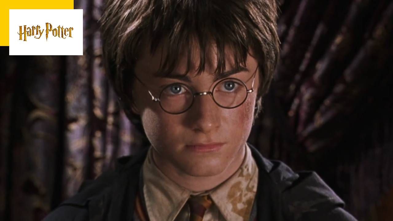 Dans Harry Potter On Ne Doit Pas Dire Son Nom Harry Potter et la Chambre des secrets : 6 choses à savoir sur le film -  AlloCiné