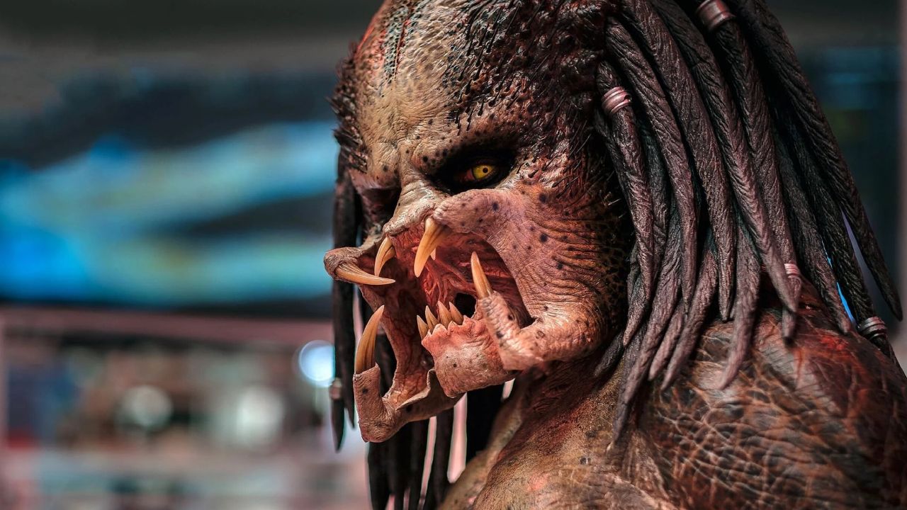 J'ai pas une gueule de porte-bonheur mais là, tu vas un peu loin Shane !