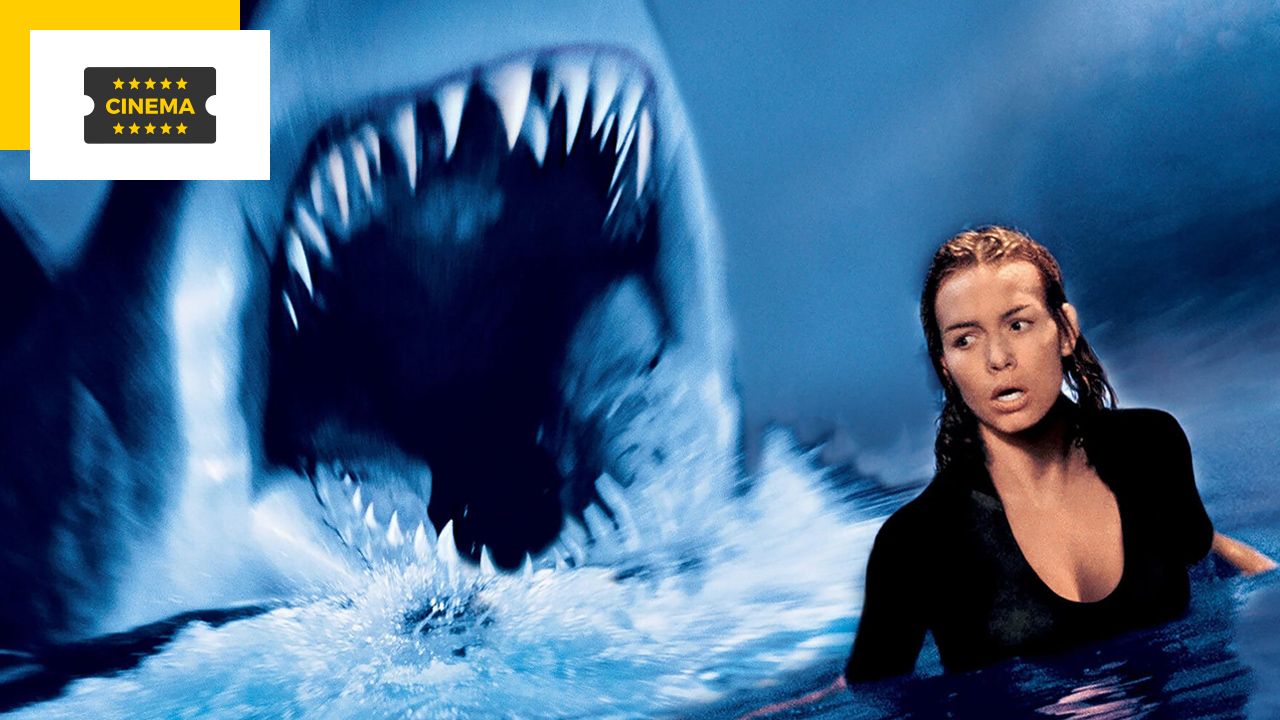 Sharks in the plane!  Crazy action movie from the director of Cliffhanger and Blue Scare