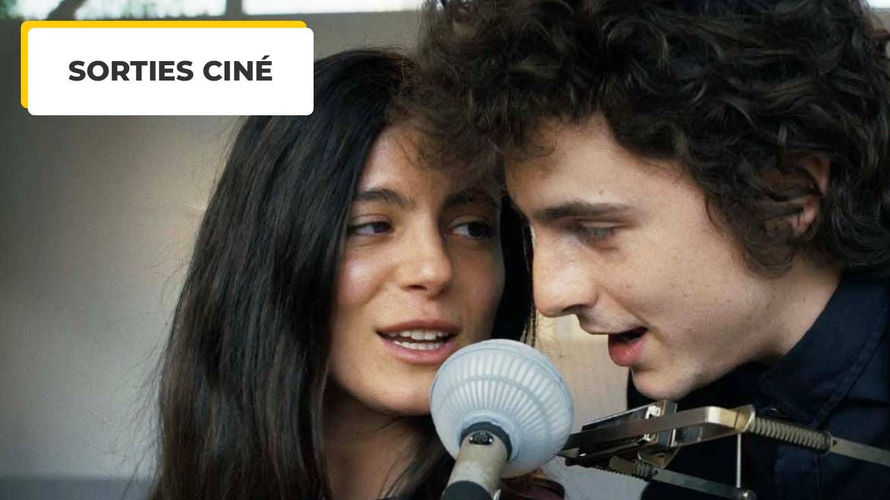 In the cinema, on January 29, these are movies that are: excellent unknown Timothy Chalamet with Bob Dylan, satellite, one night at the zoo …