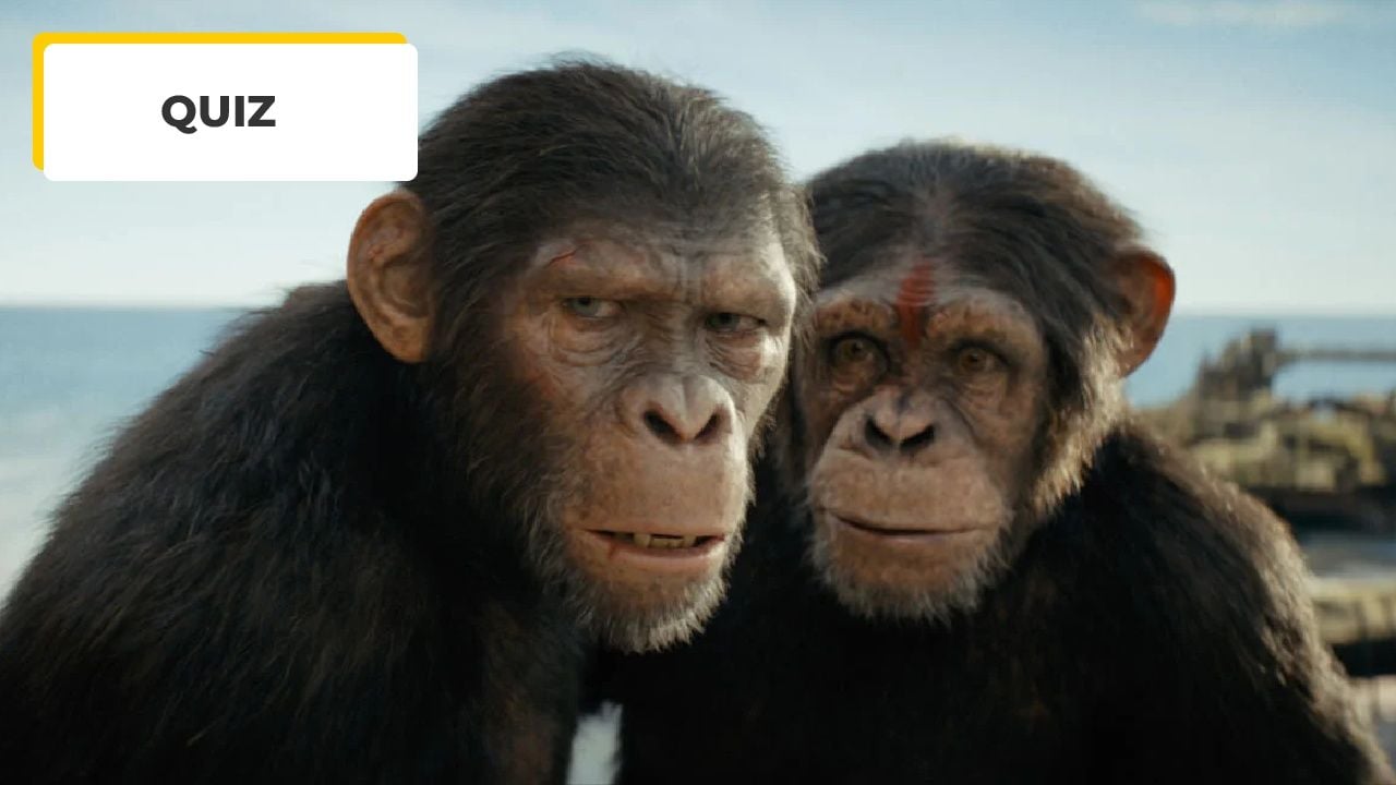 Cinema Quiz: Be Smart to Succeed on 9/9!