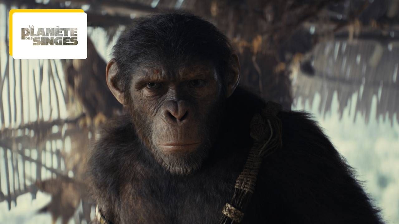 Planet of the Apes 2024: Already a record for a new movie in the sci-fi saga