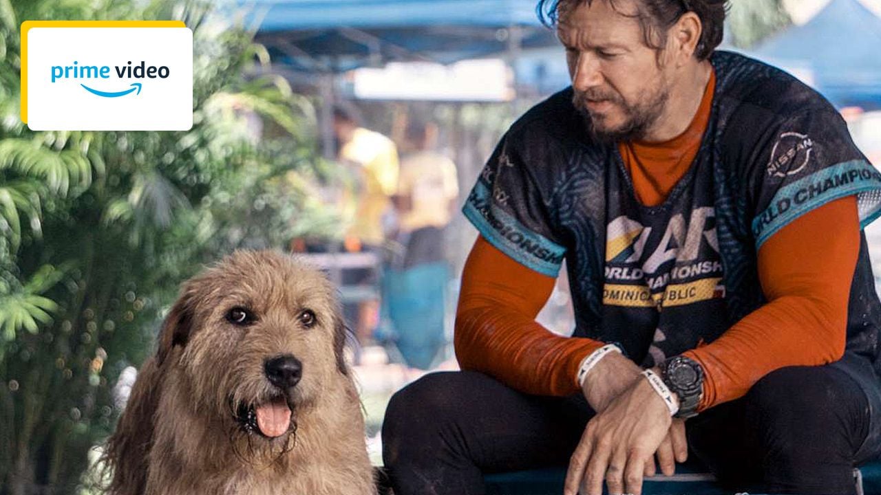 Everyone loves dogs!  Especially Mark Wahlberg in this adventure film adapted from a true story