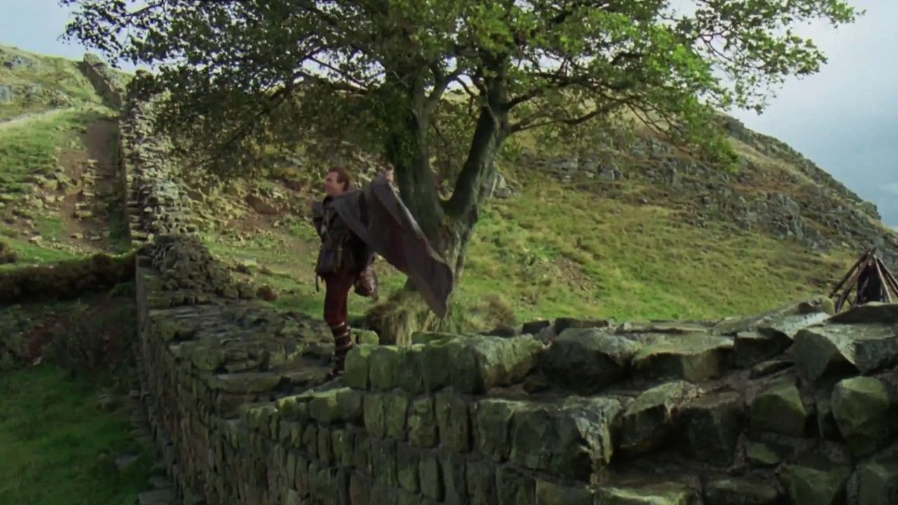 Great Britain is in shock: Robin Hood’s tree was cut down!