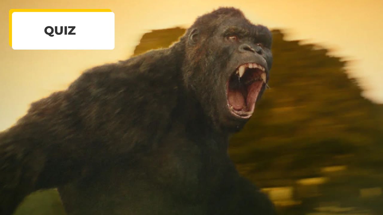 Movie quiz: 7 pictures, 7 movies to identify!