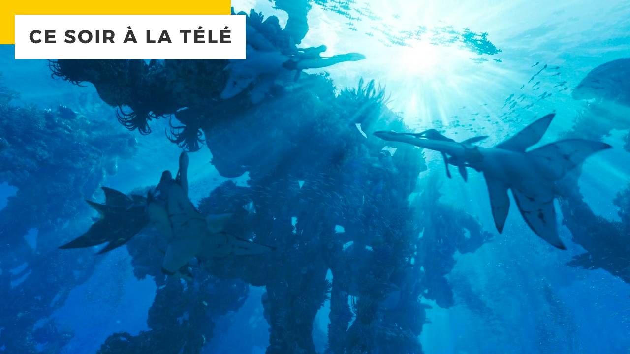 Ce soir à la télé ce film est le 3ème plus gros succès mondial de