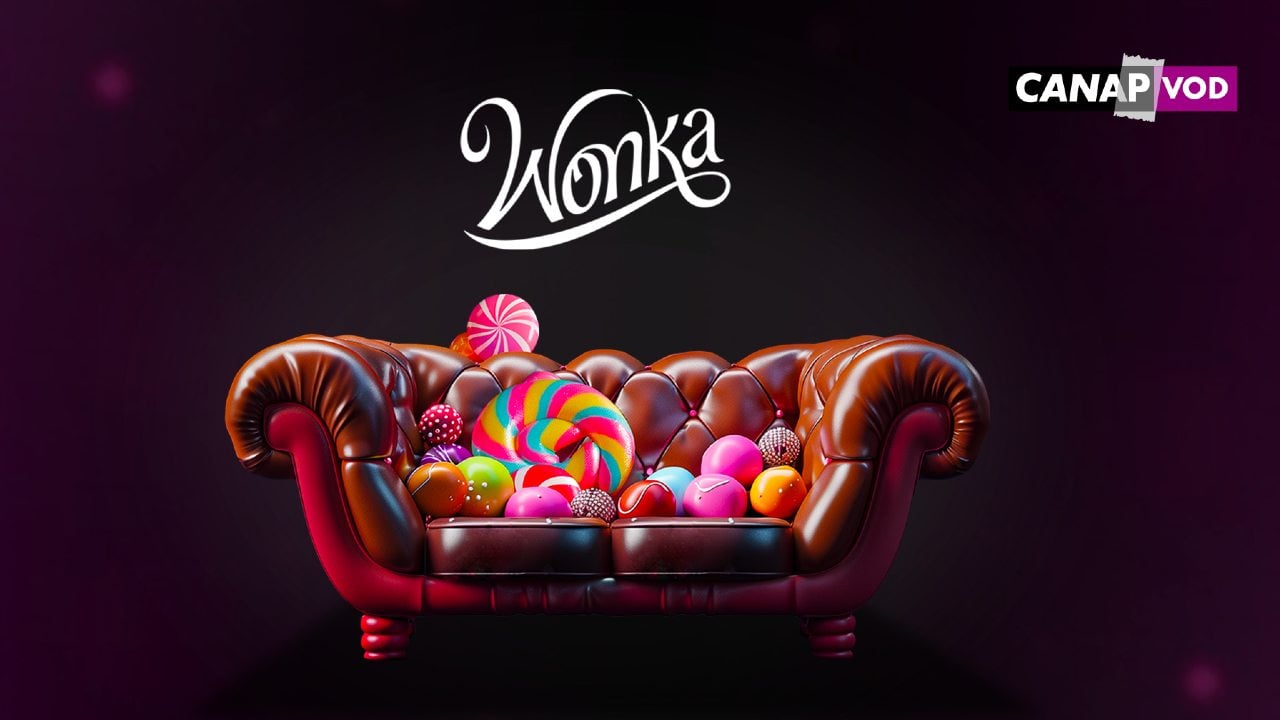 Wonka, la suite des Trois Mousquetaires, la saga S.O.S Fantômes… : où voir les derniers succès ciné depuis votre canapé ?