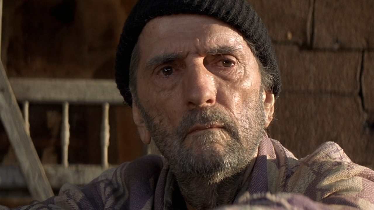 Harry Dean Stanton