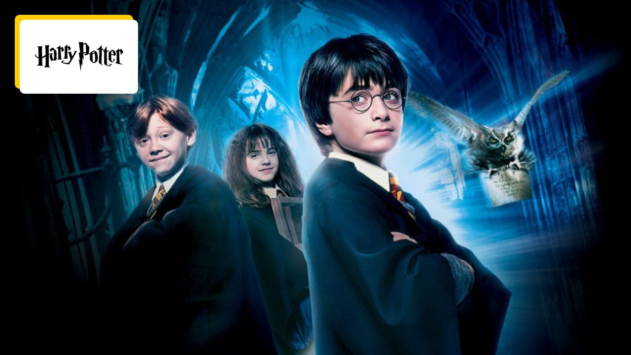 Harry Potter: New interpreters for Harry, Ron and Hermione will be revealed soon!