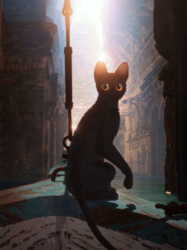 Flow, le chat qui n’avait plus peur de l’eau streaming gratuit