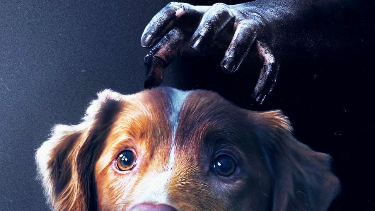 Good guy: This terrible thriller that does a lot of talk will be on weekends -a week in France!