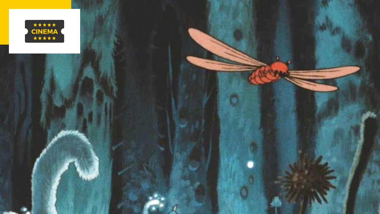 Nausicaä de la Vallée du Vent” : Miyazaki aurait (encore) refusé une  adaptation par Hollywood