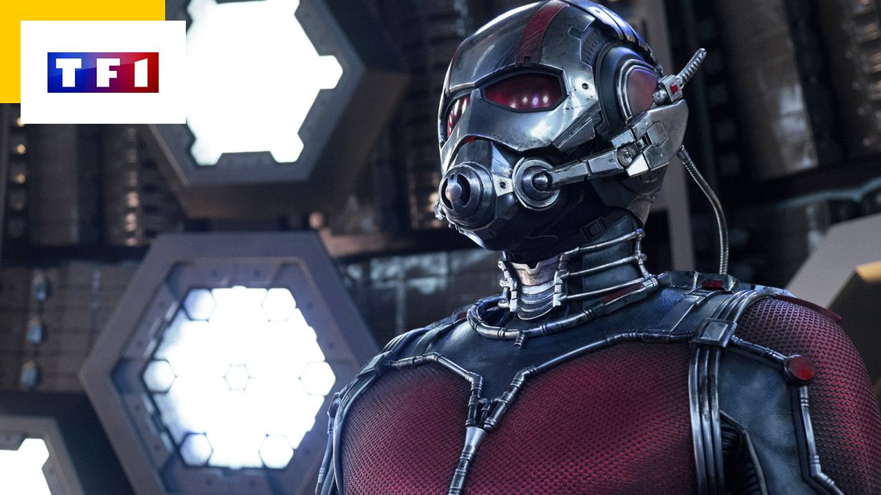 Ant-Man on TF1: Watch and you might be cured of this phobia!