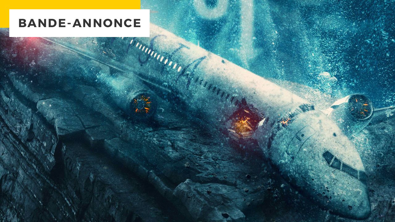Airplane attacked by sharks: this action movie reveals incredible images!