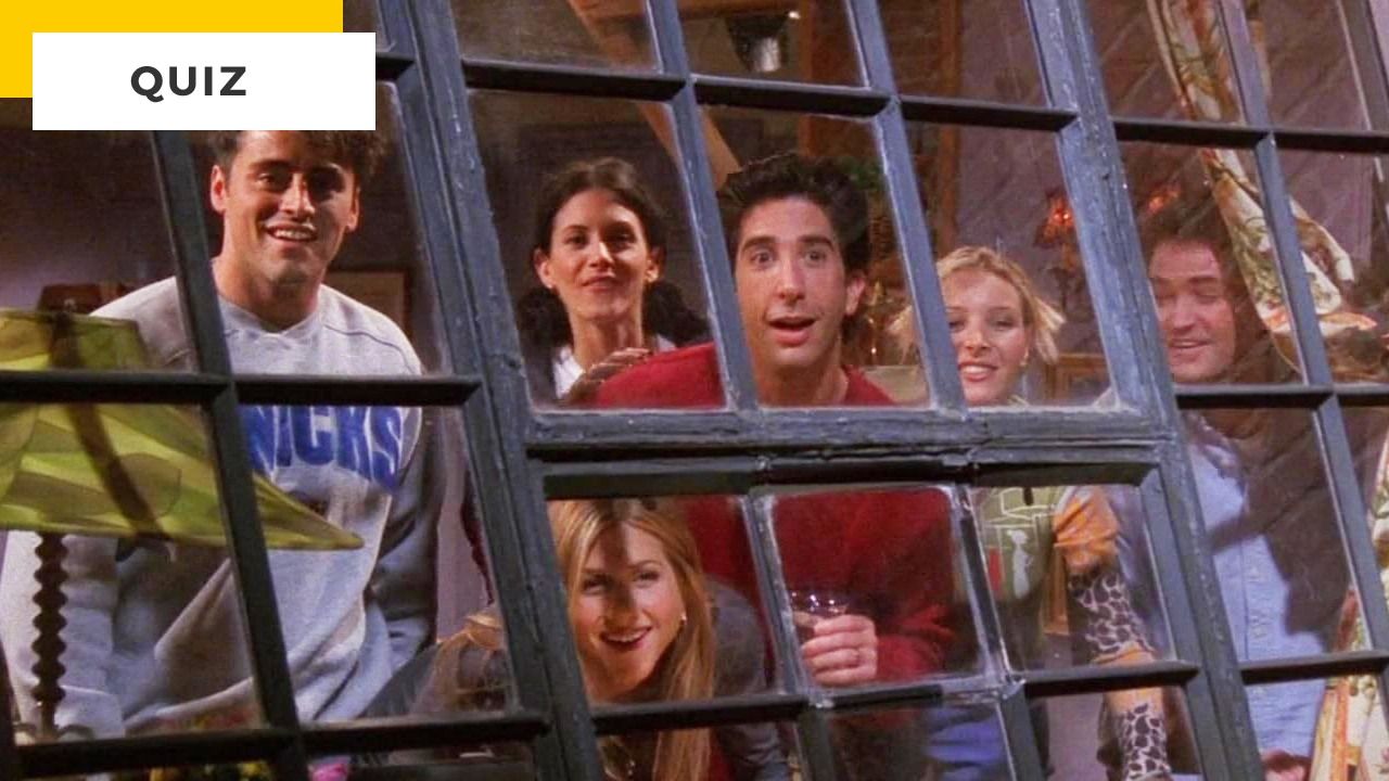 Quiz Friends: If you do more than 6/8, you know the series by heart!