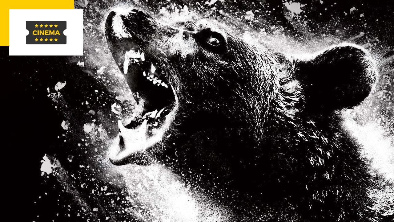 The True Story of the Cocaine Bear: This is the craziest movie of the year earlier this year