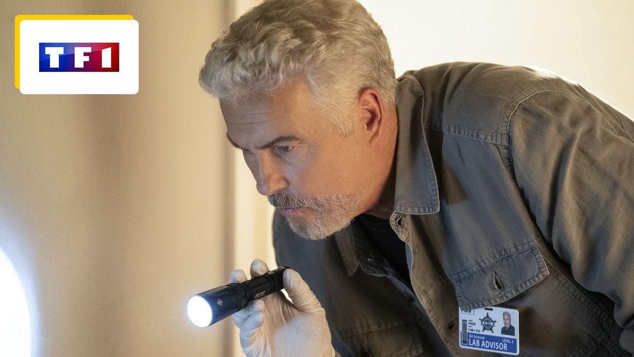 No Season 2 of Experts on TF1: Where to watch the rest of the Las Vegas series?