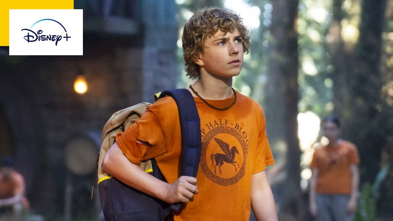 Percy Jackson: This character was removed from the series for budget reasons