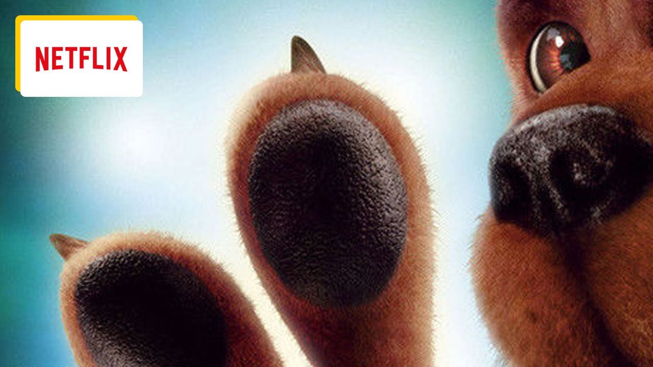 15 series and 3 movies: This famous dog is coming back for Netflix and the creator of Riverdale!