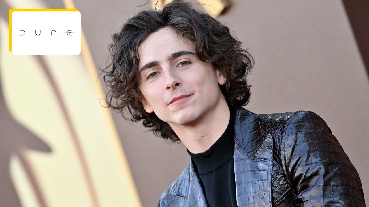 Timothée Chalamet premier rôle, meilleur film, anecdotes… tout savoir