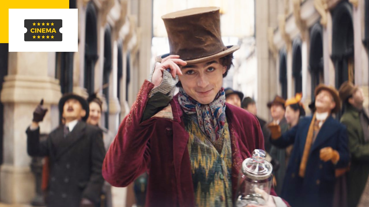 Wonka : tout savoir sur le préquel de Charlie et la Chocolaterie avec  Timothée Chalamet, par les producteurs de Harry Potter - Madmoizelle