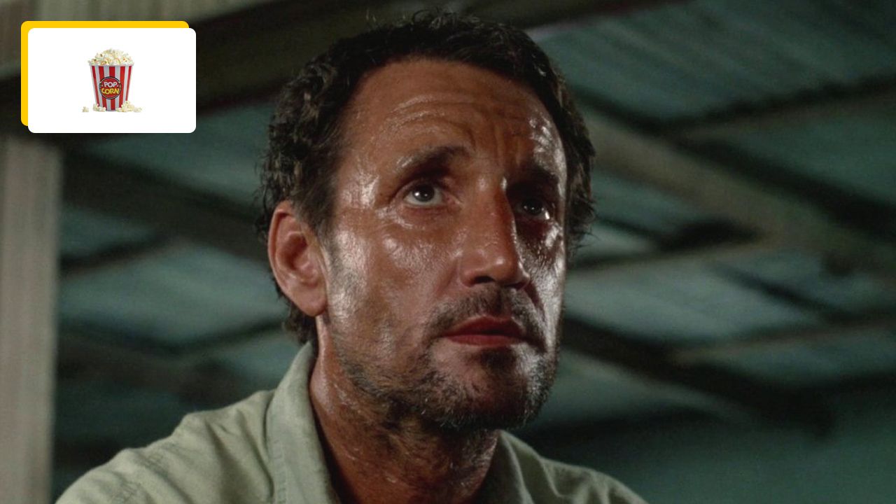 “I repeated to stay alive”: Shooting this masterpiece brings a sea tooth for a picnic!
