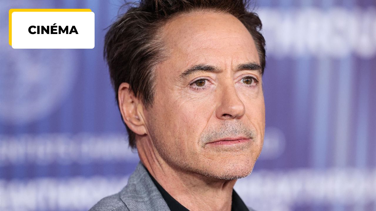“My Law Firm will always be very active in this question”: Robert Down Jr. will never change!