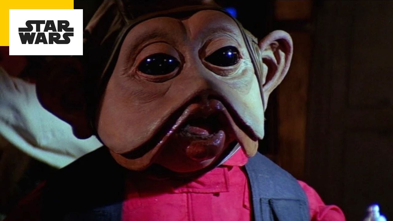 Star Wars: No one knows, but this character speaks a language that really exists