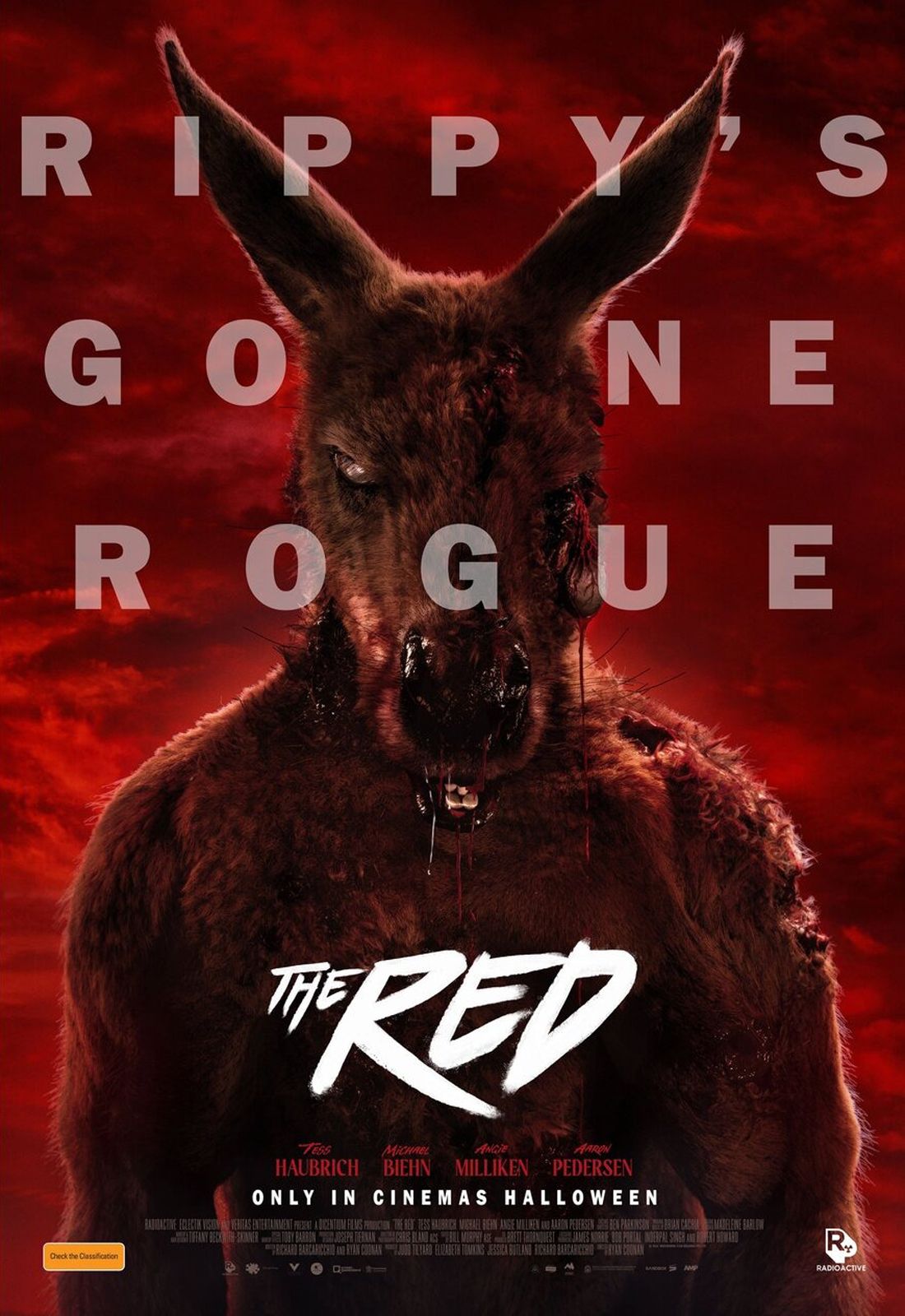 News du film Rippy AlloCiné
